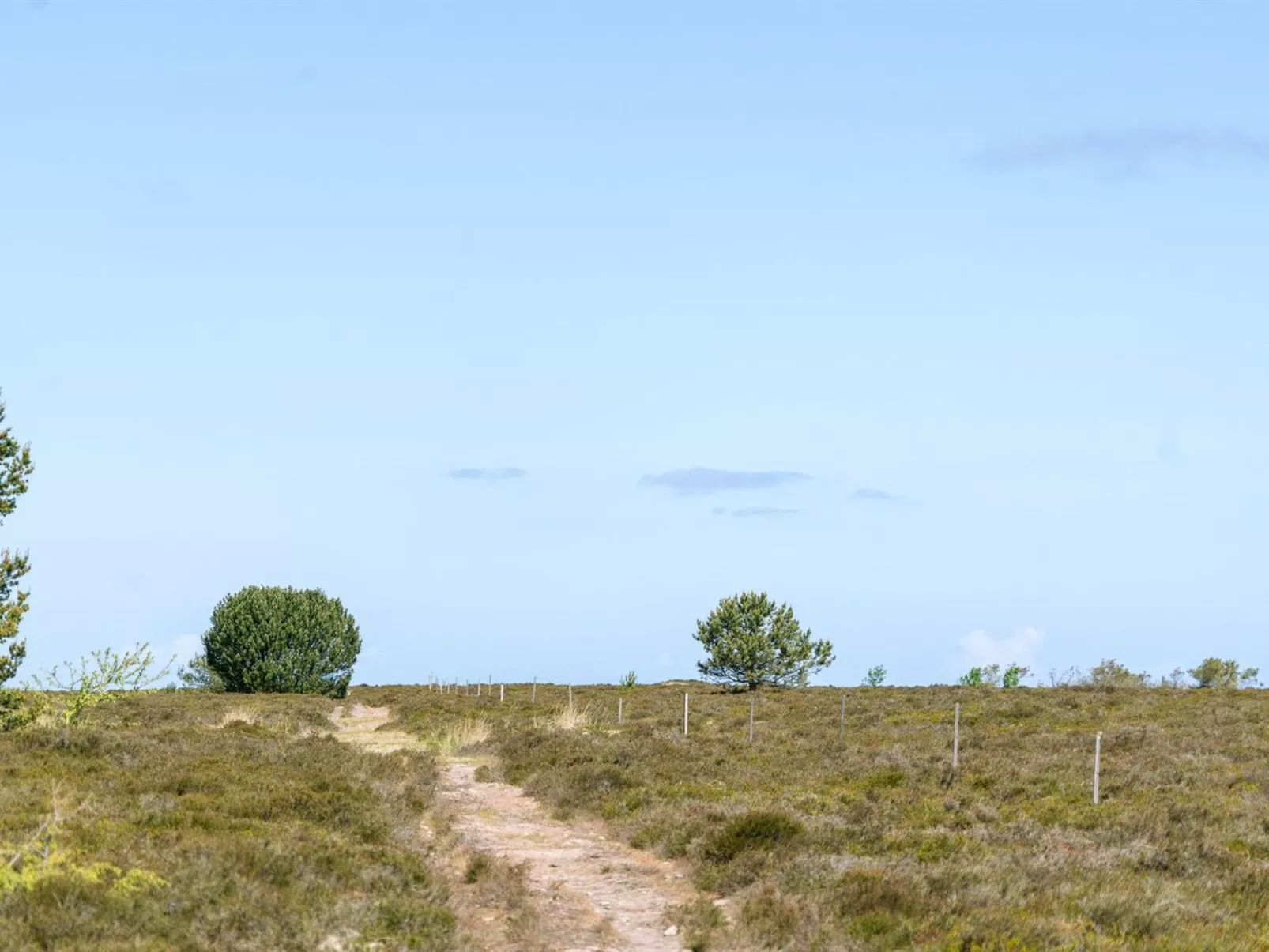 "Hrefna" - 350m from the sea-Outside
