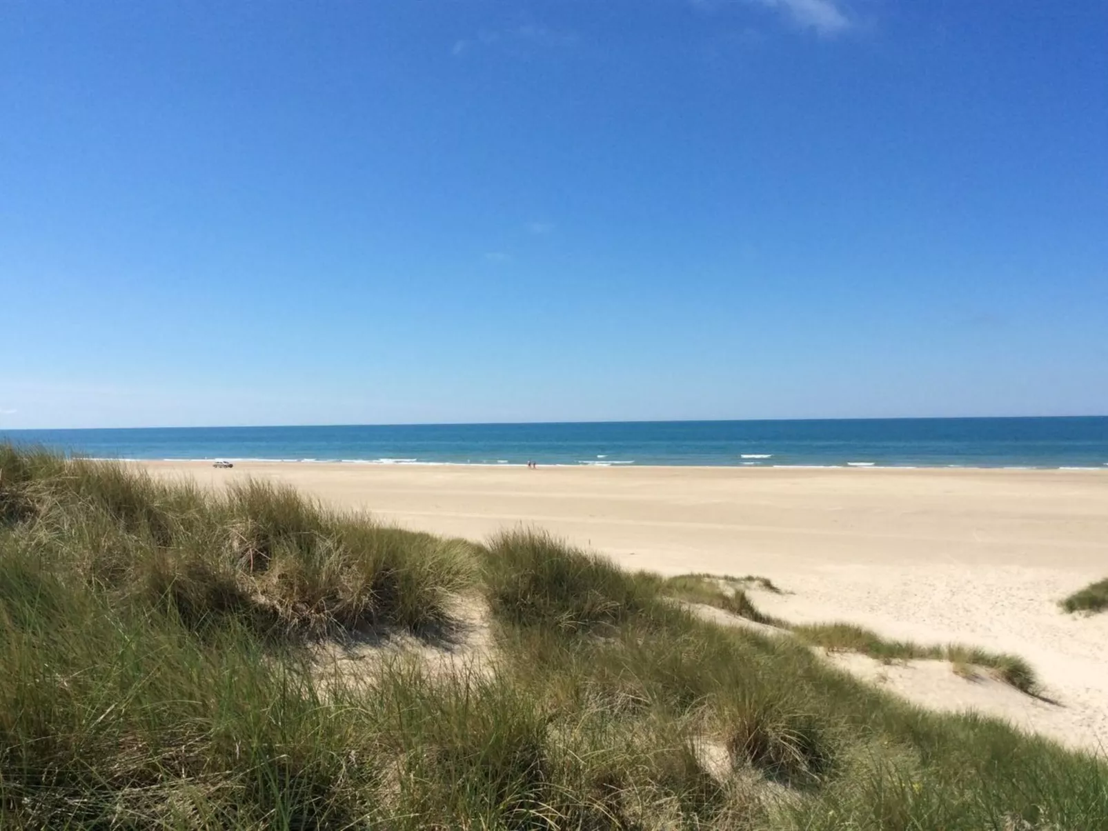 "Oskarvine" - 900m from the sea-Draußen