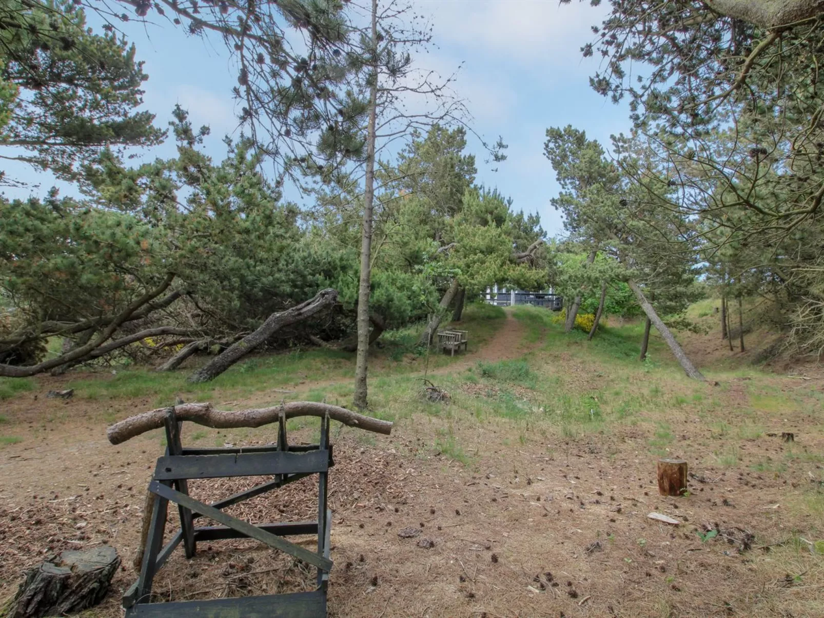 "Kanutte" - 400m from the sea-Outside