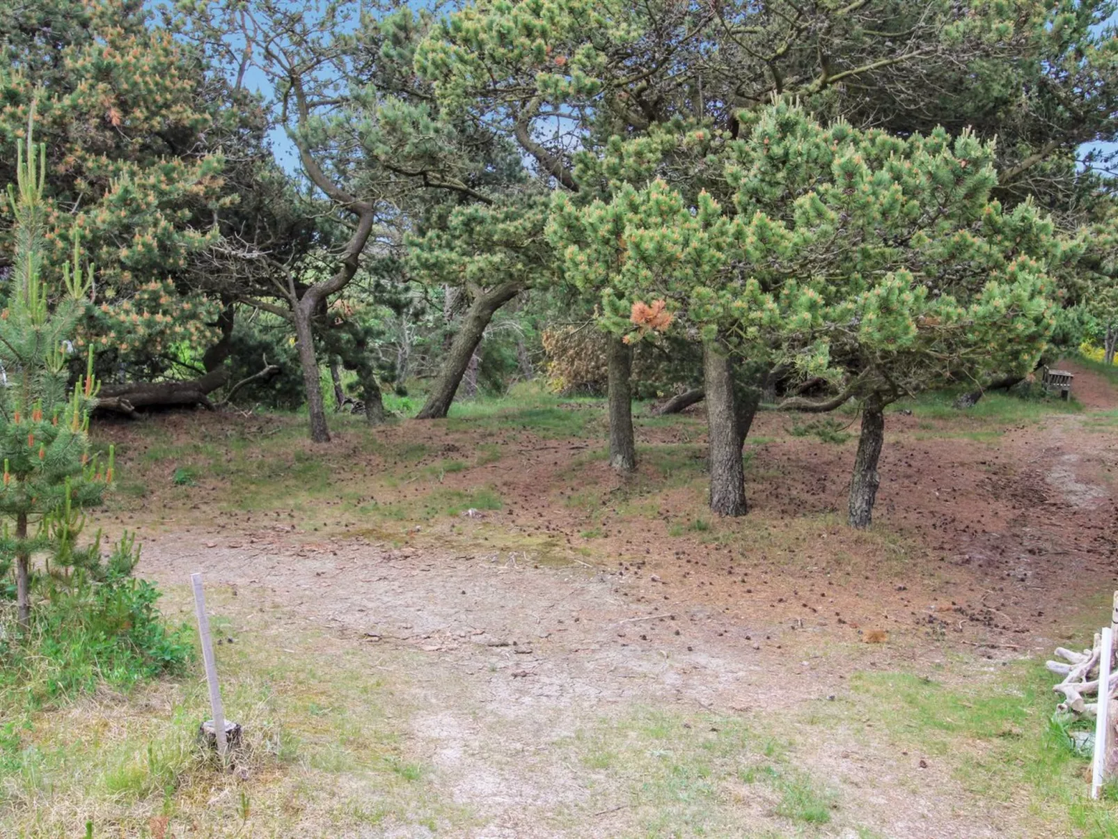 "Kanutte" - 400m from the sea-Outside