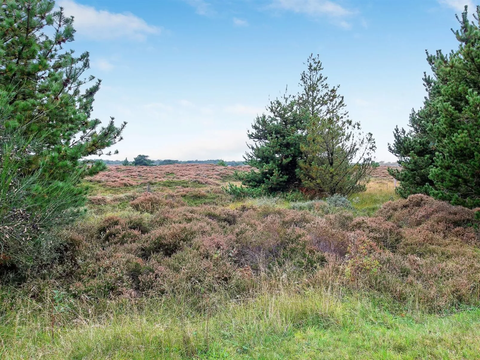 "Dorti" - 3km from the sea-Outside