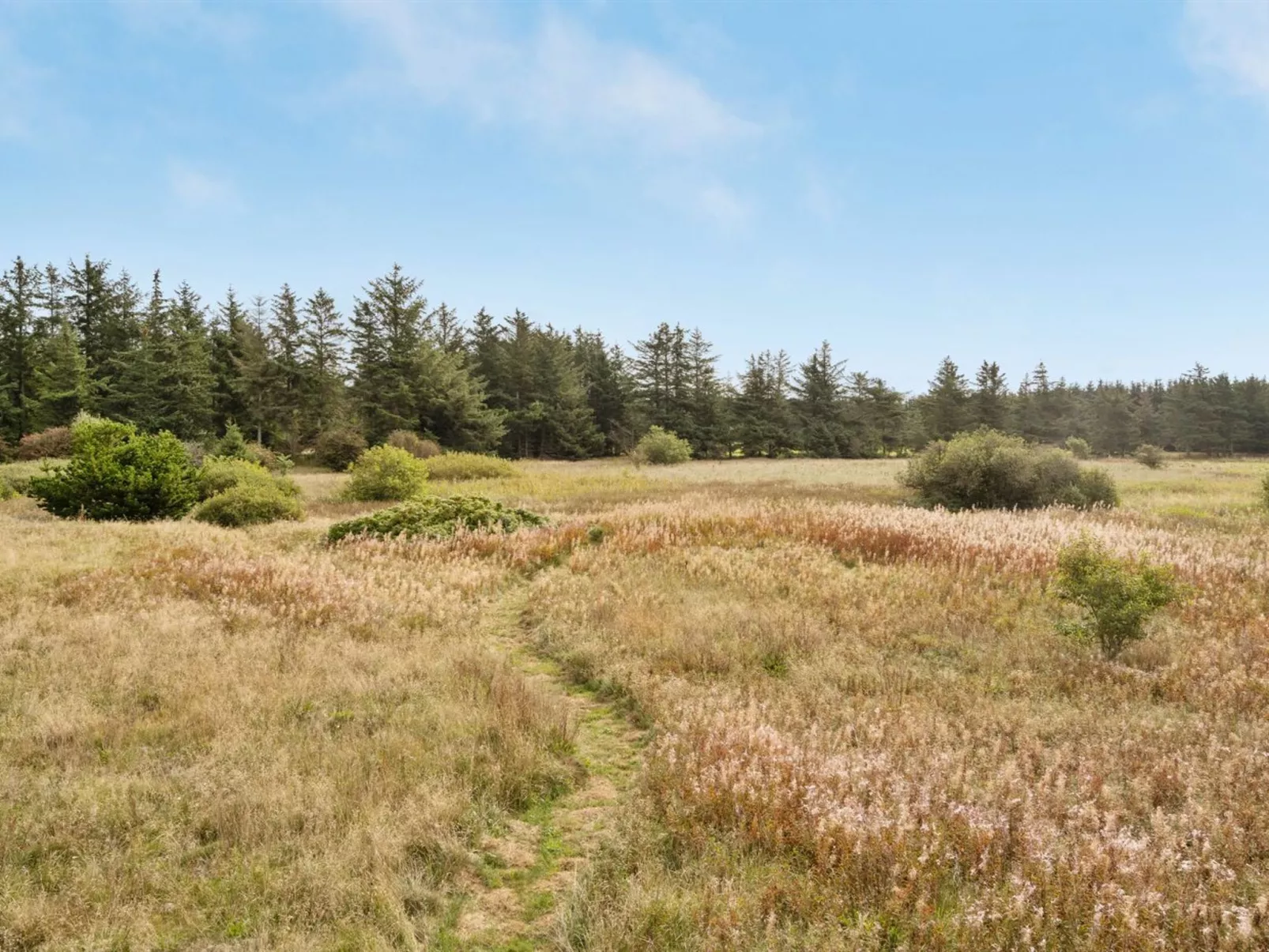 "Sulki" - 3.5km from the sea-Outside