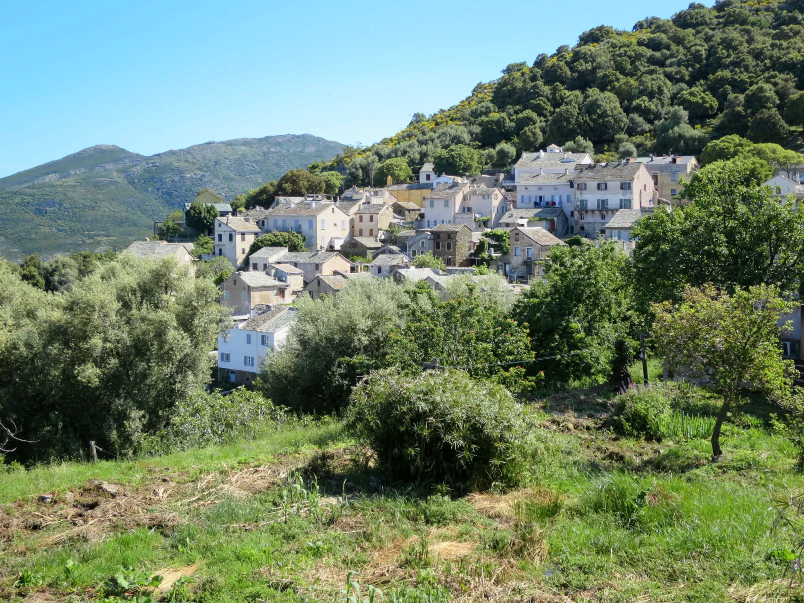 Maison Balbi-Outside
