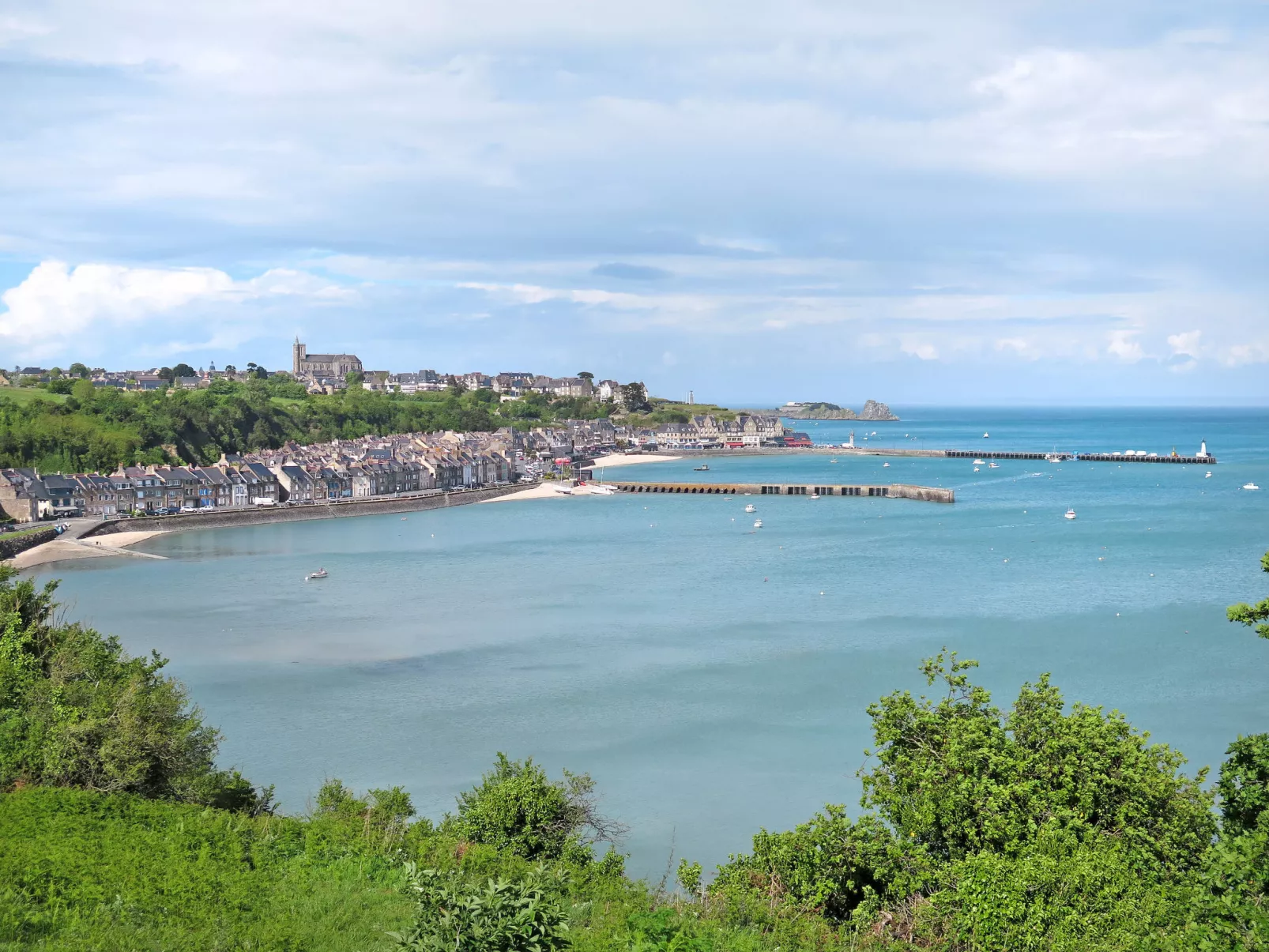 Camélia-Area