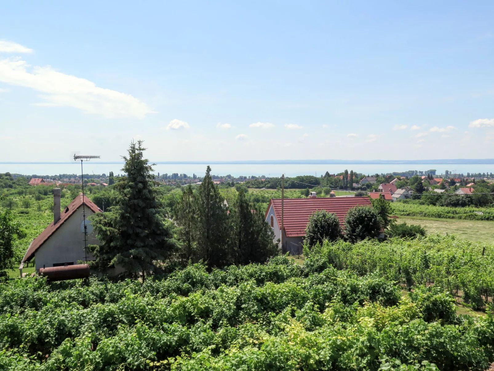 Dul-Draußen