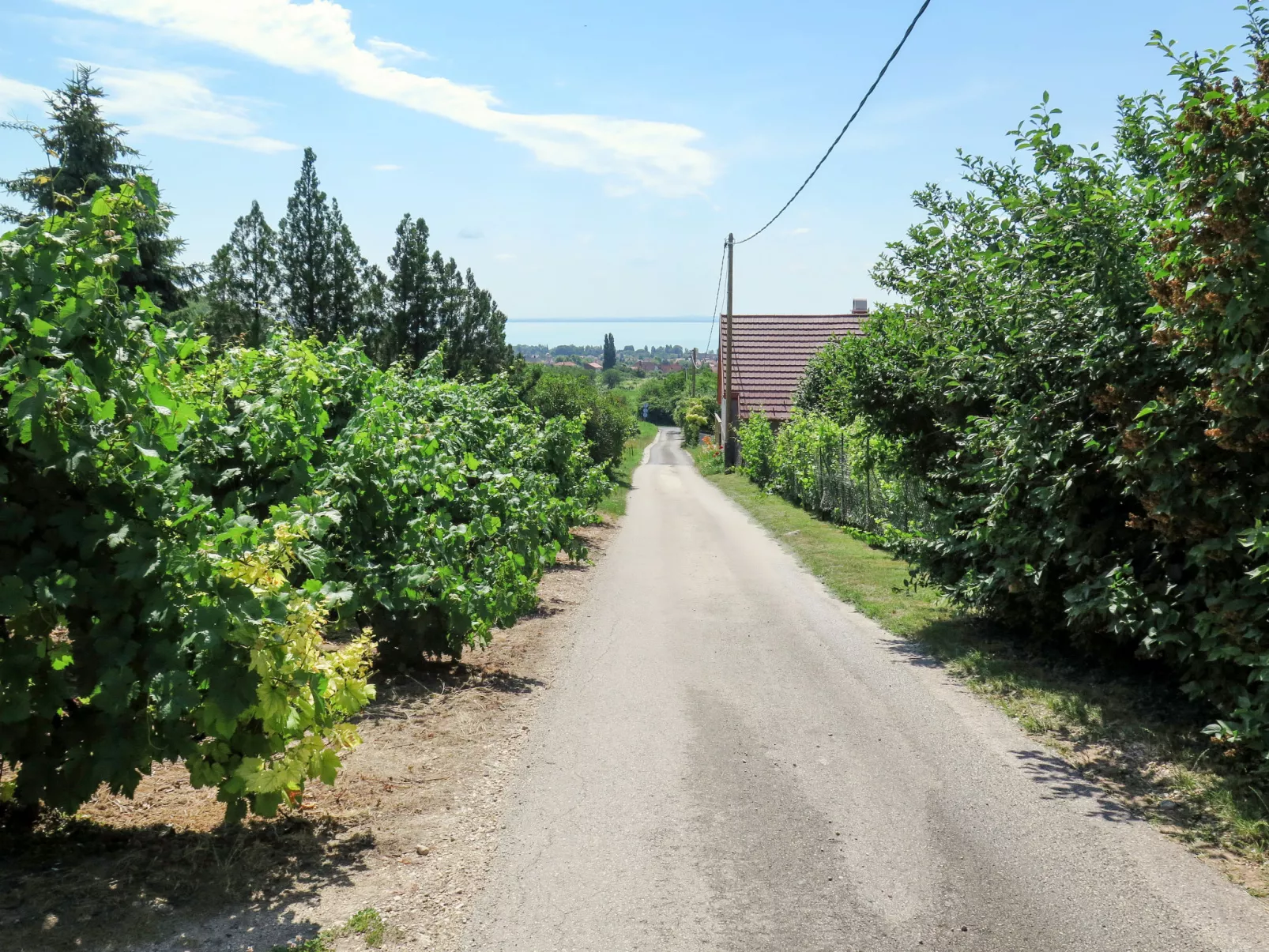 Dul-Draußen