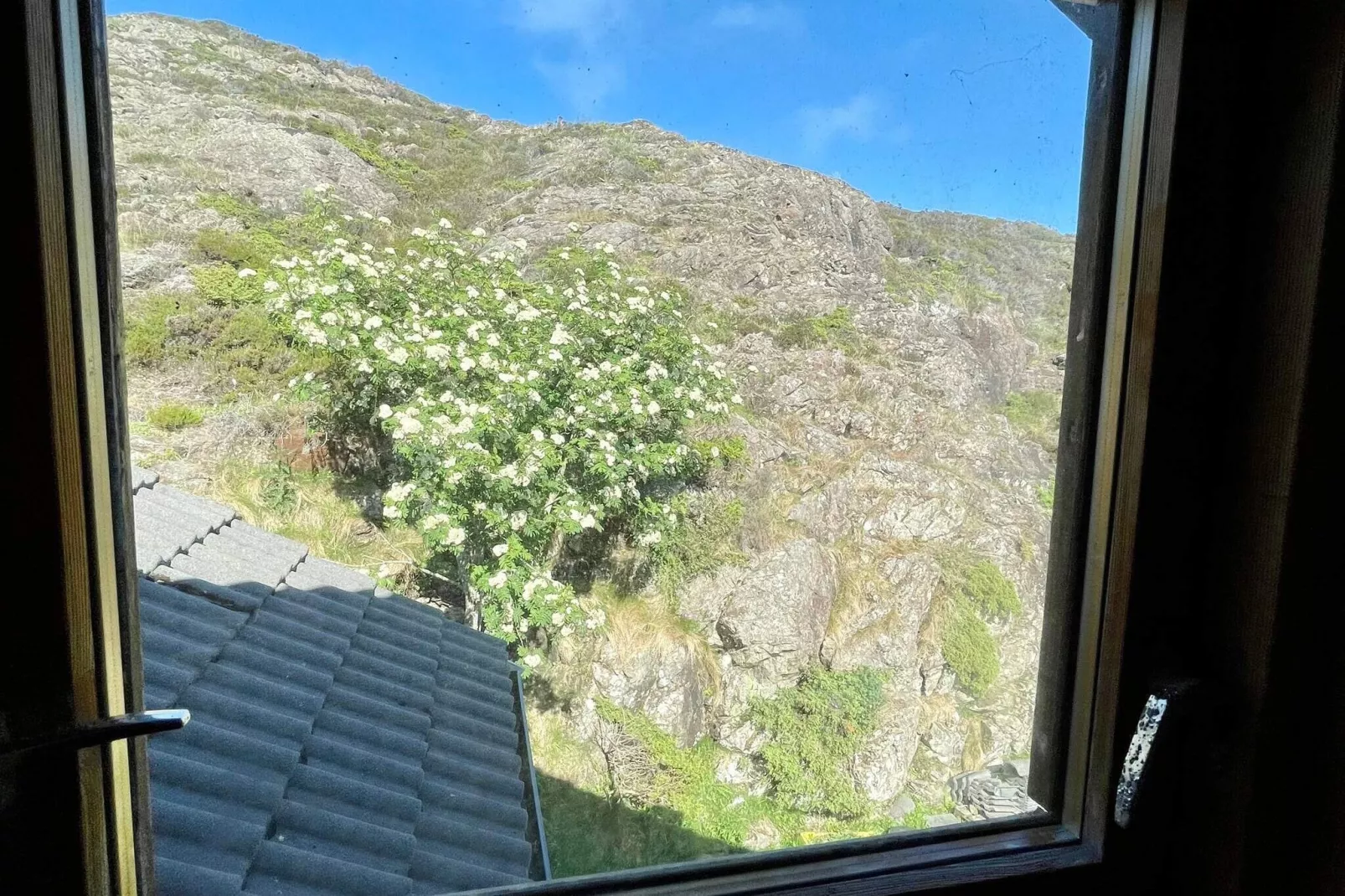 6 person holiday home in Espevær-By Traum-Indoor