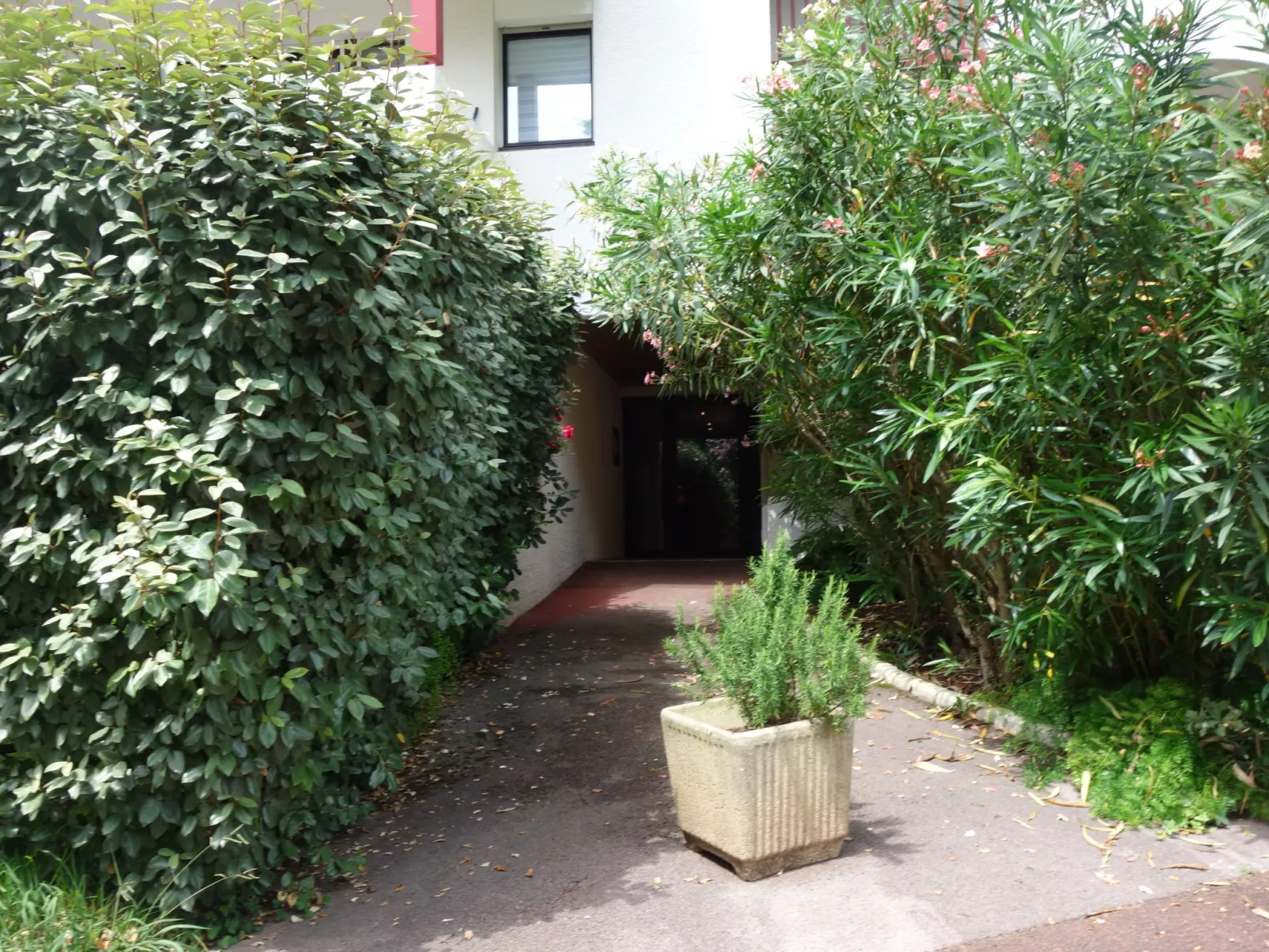 Les Hauts de Bordagain-Dedans