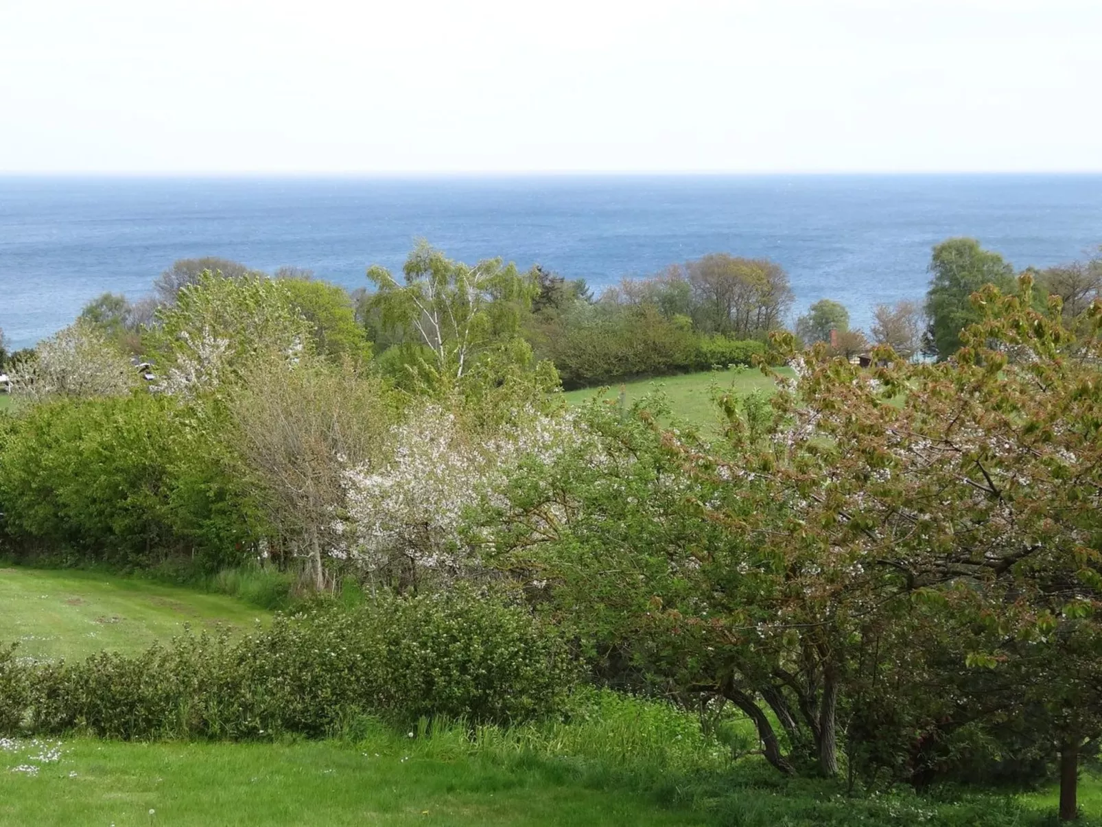 "Iikka" - 300m from the sea-Draußen