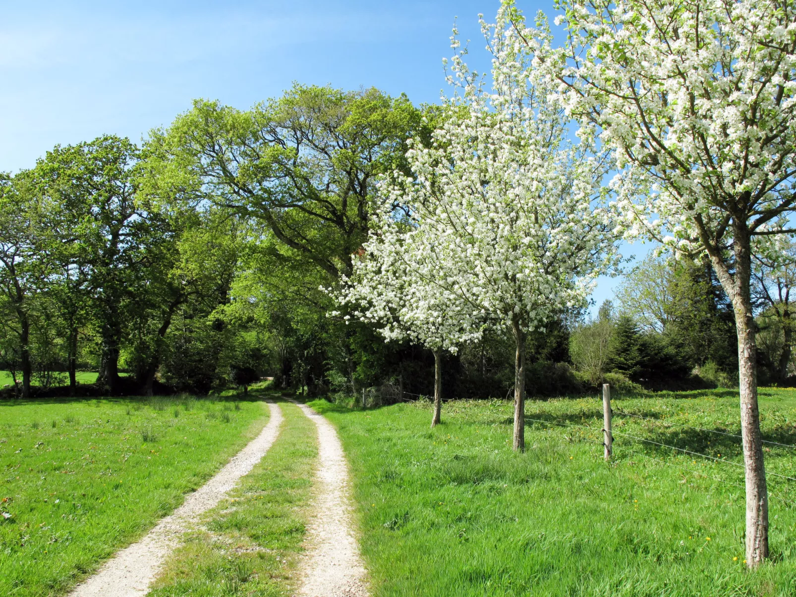 La Bergerie-Dehors