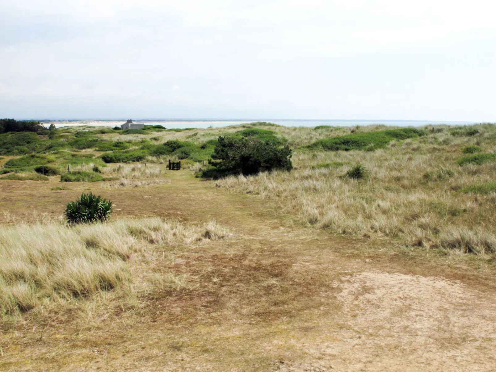 Les Dunes-Outside