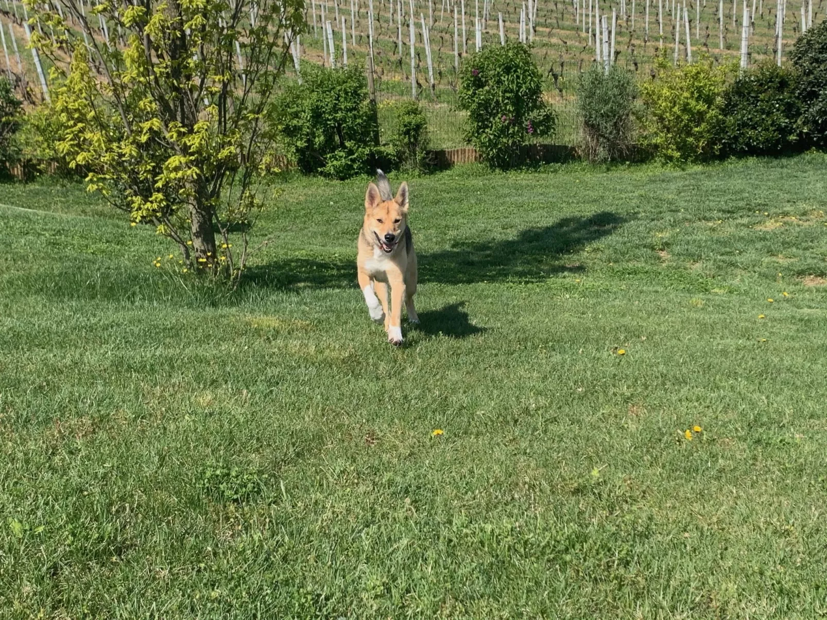 Cascina-Draußen