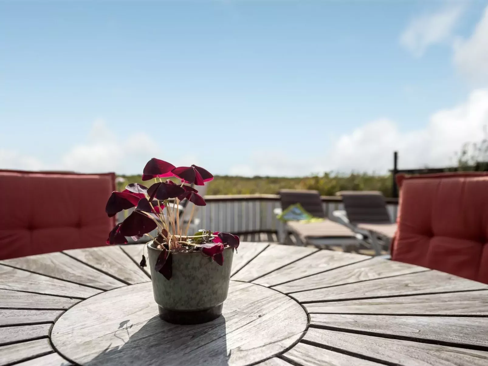 "Kylli" - 600m from the sea-Outside