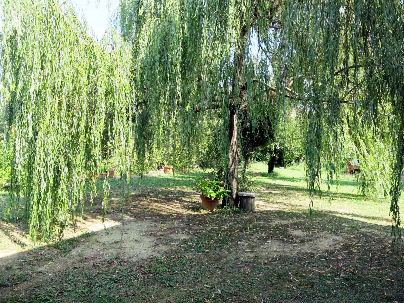 Il Valletto-Outside