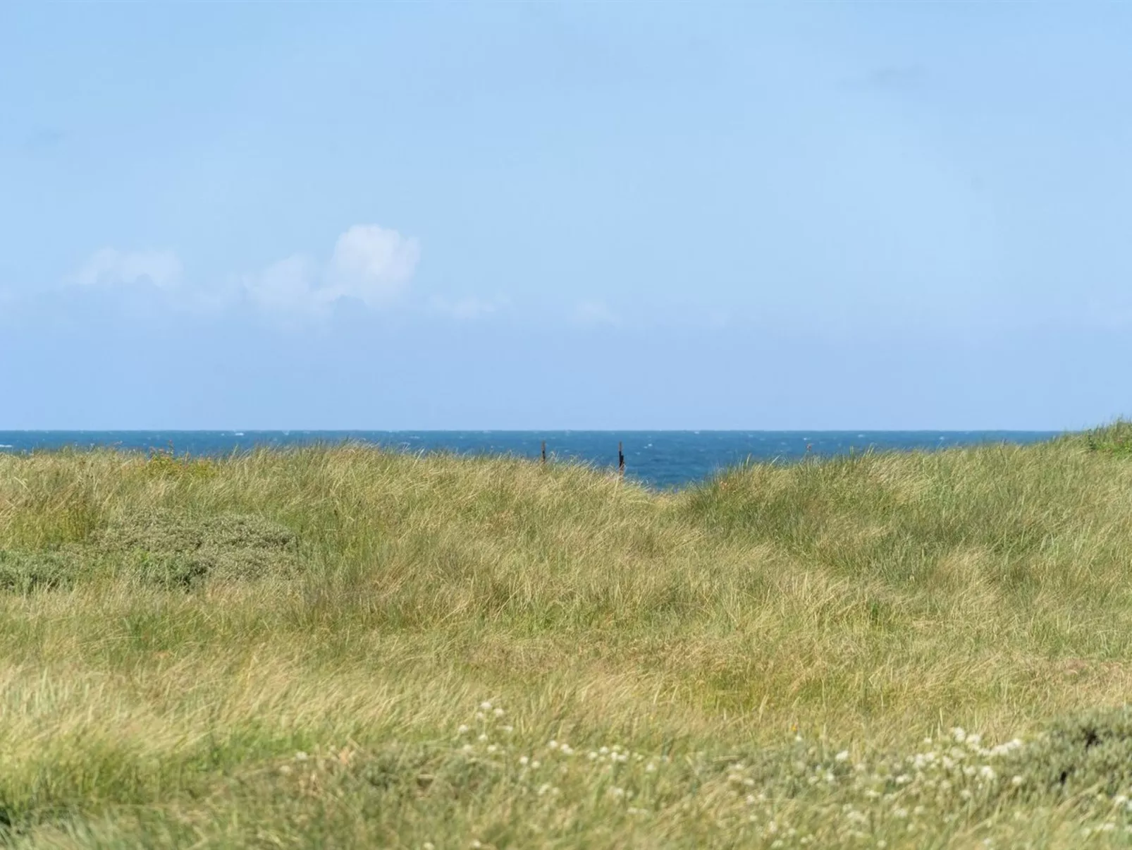 "Dila" - 150m from the sea-Outside