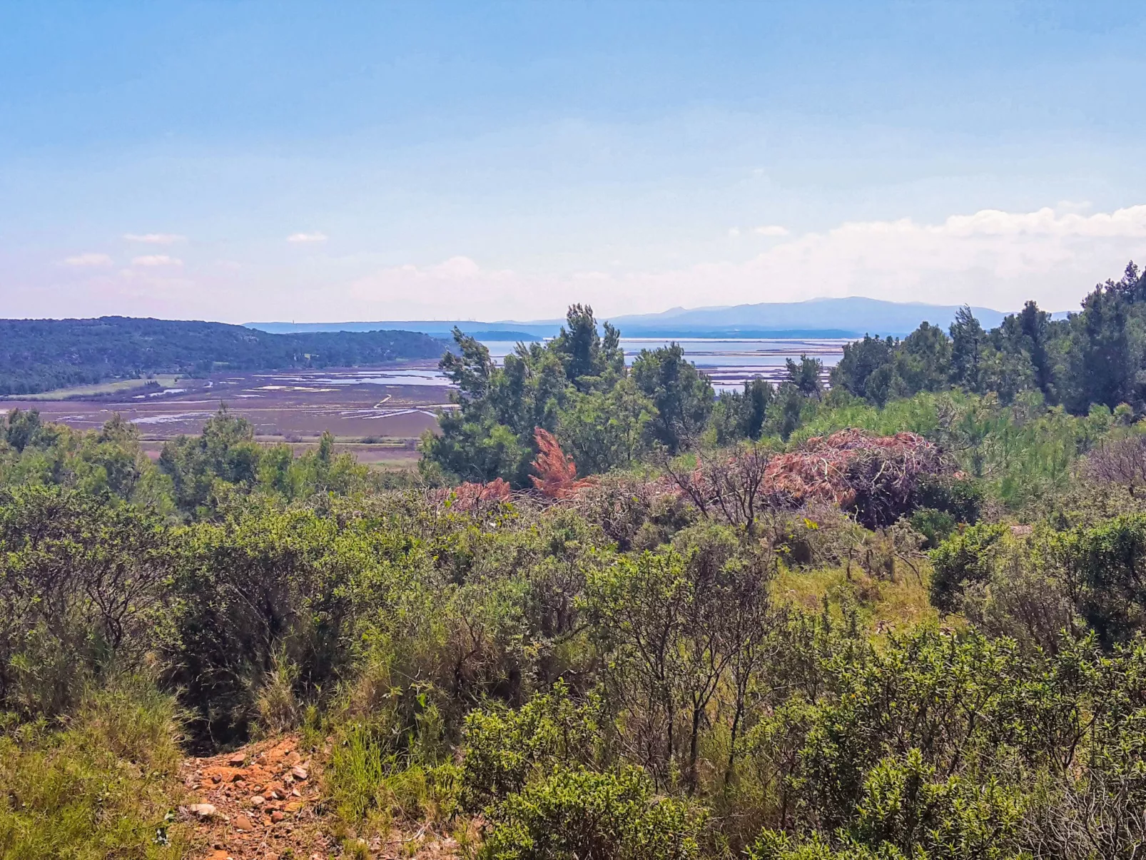 Les Terrasses du Levant-Area
