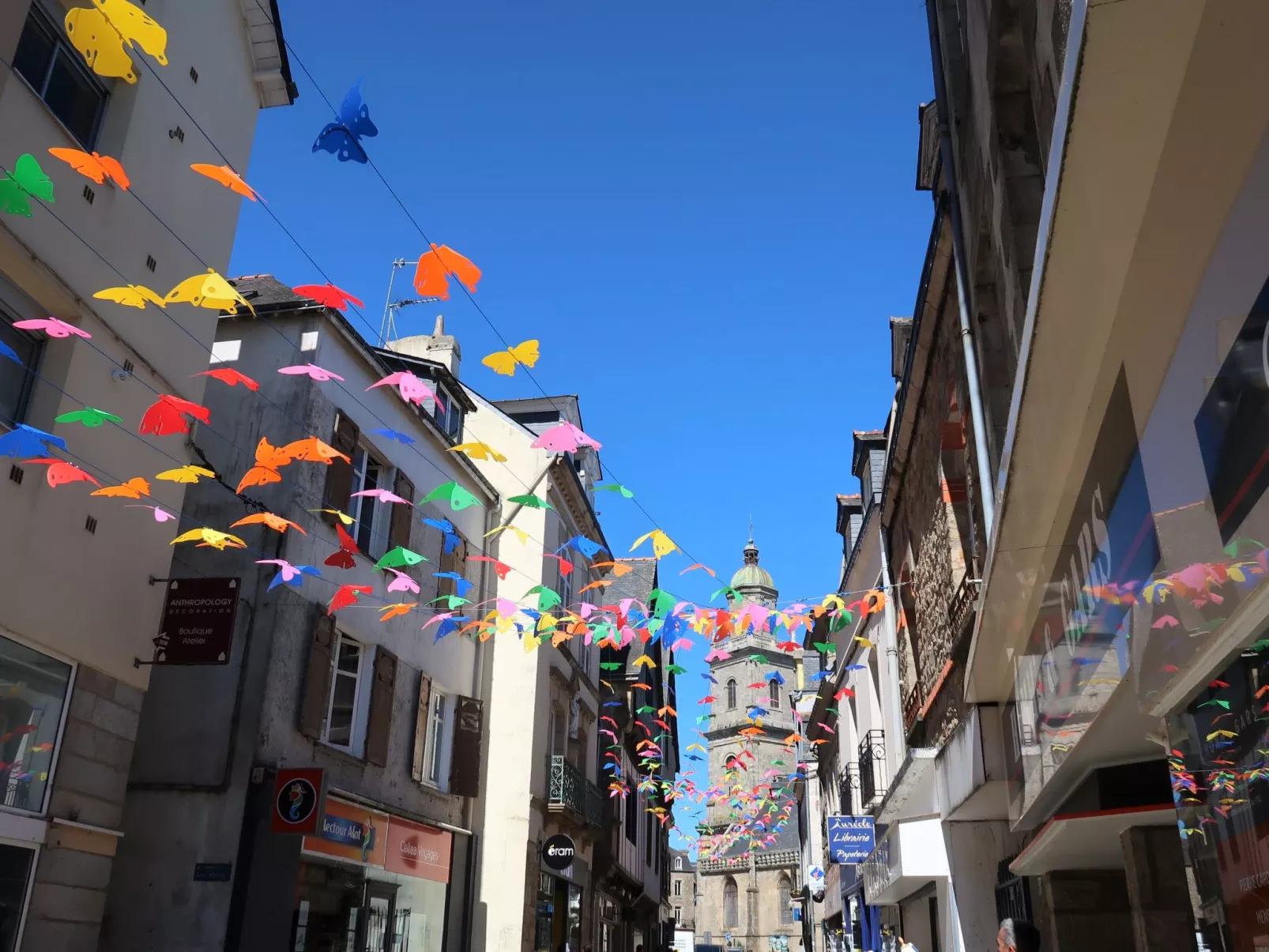Ar Mimoza-Environnement