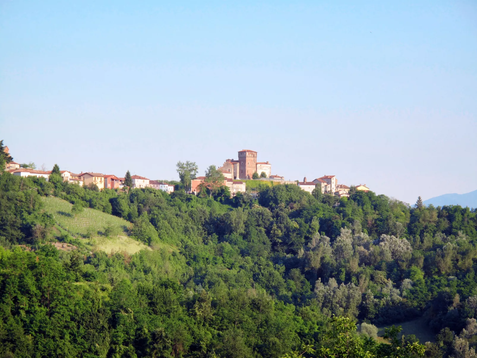 Cascinotta-Area
