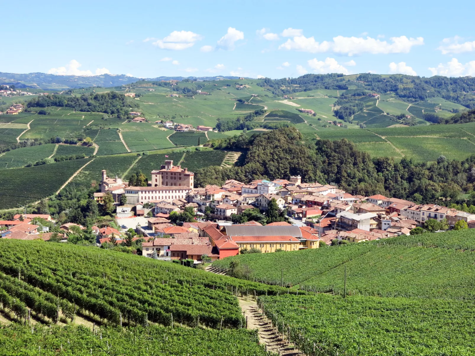 Collina San Ponzio-Area