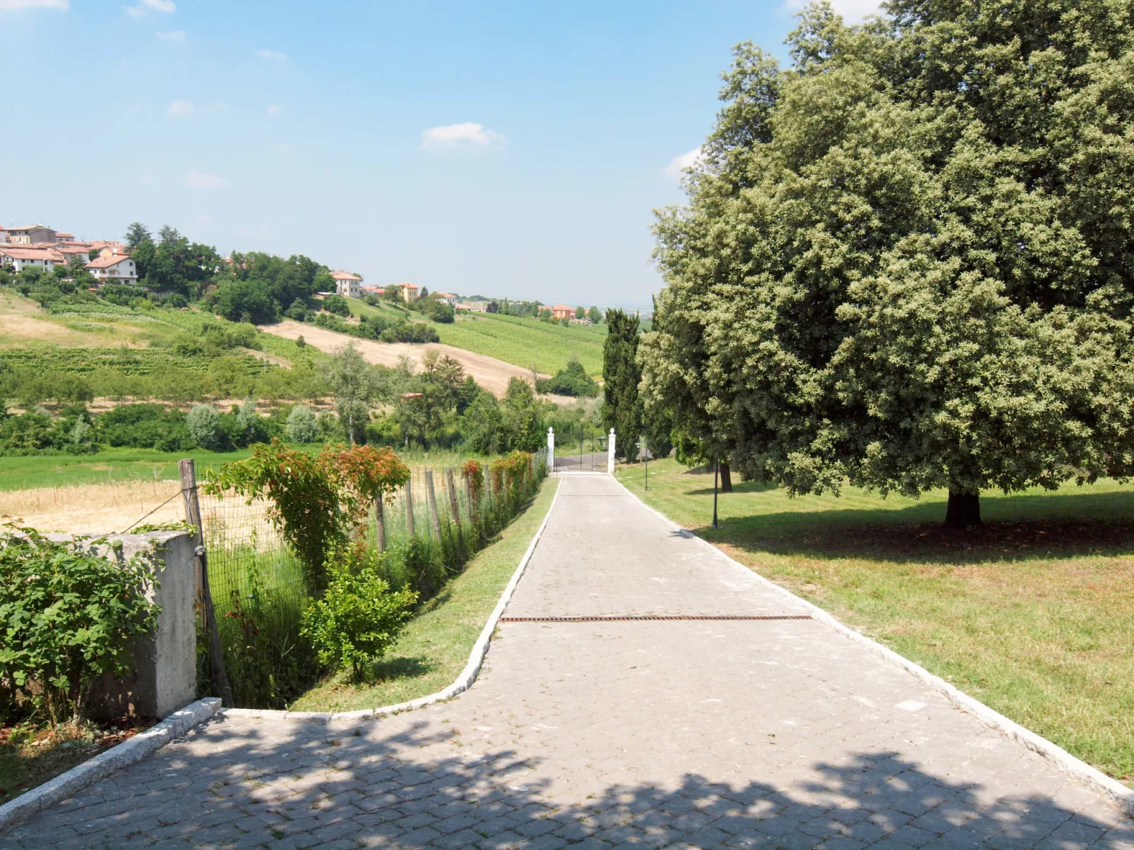 Villa Sarezzano-Outside