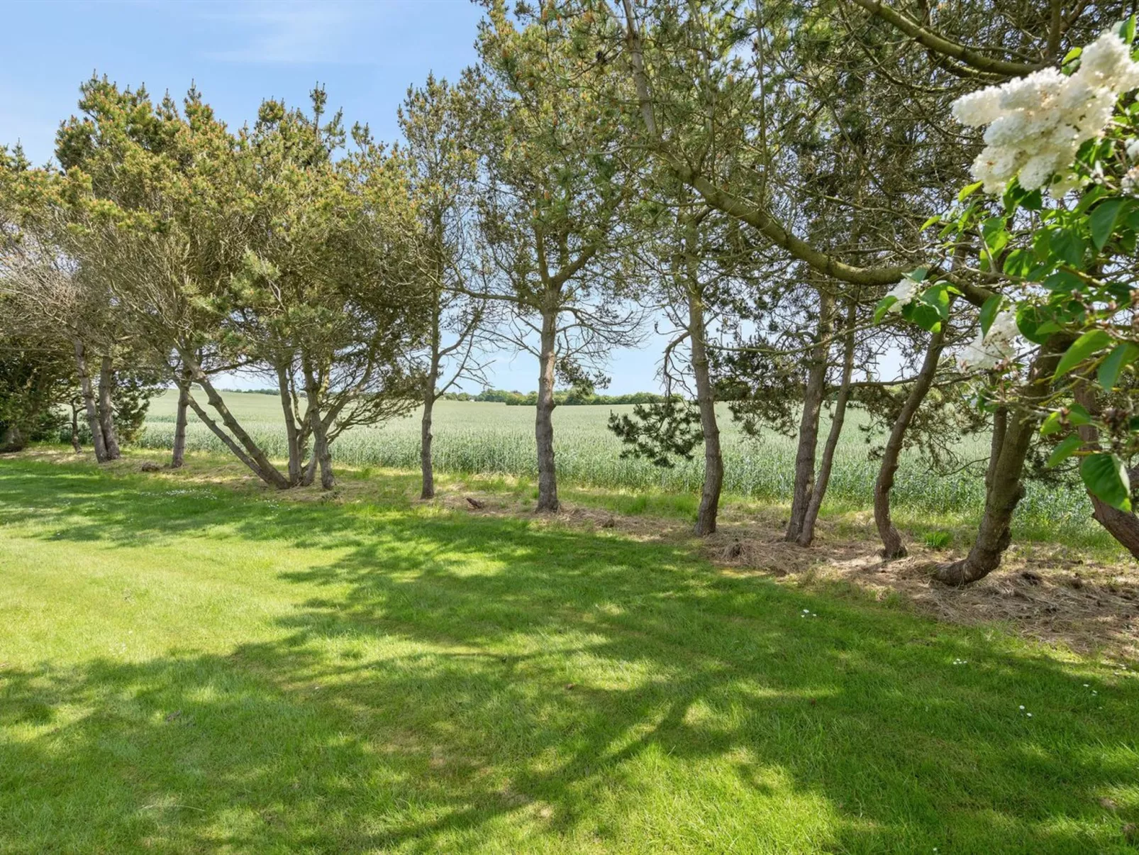 "Veljan" - 400m from the sea-Outside