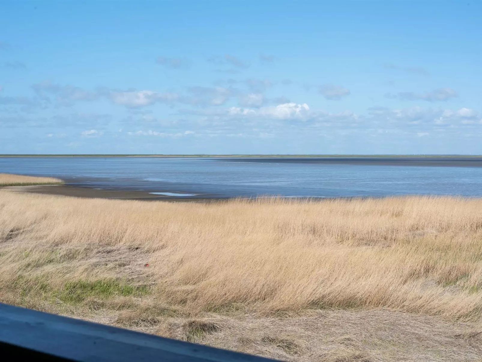 "Deljan" - 3.5km from the sea-Drinnen