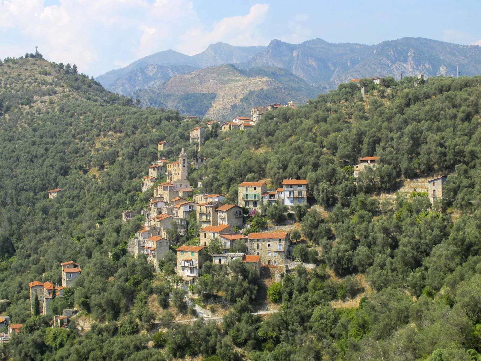 Miche-Area