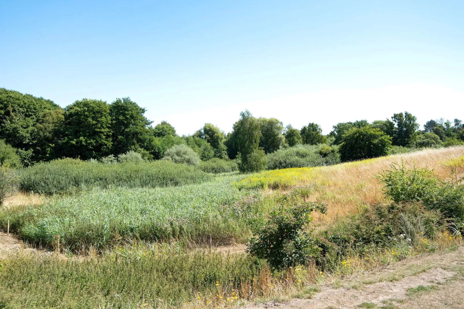 Maison de vacances pour 8 a Slagelse-By Traum-Vue