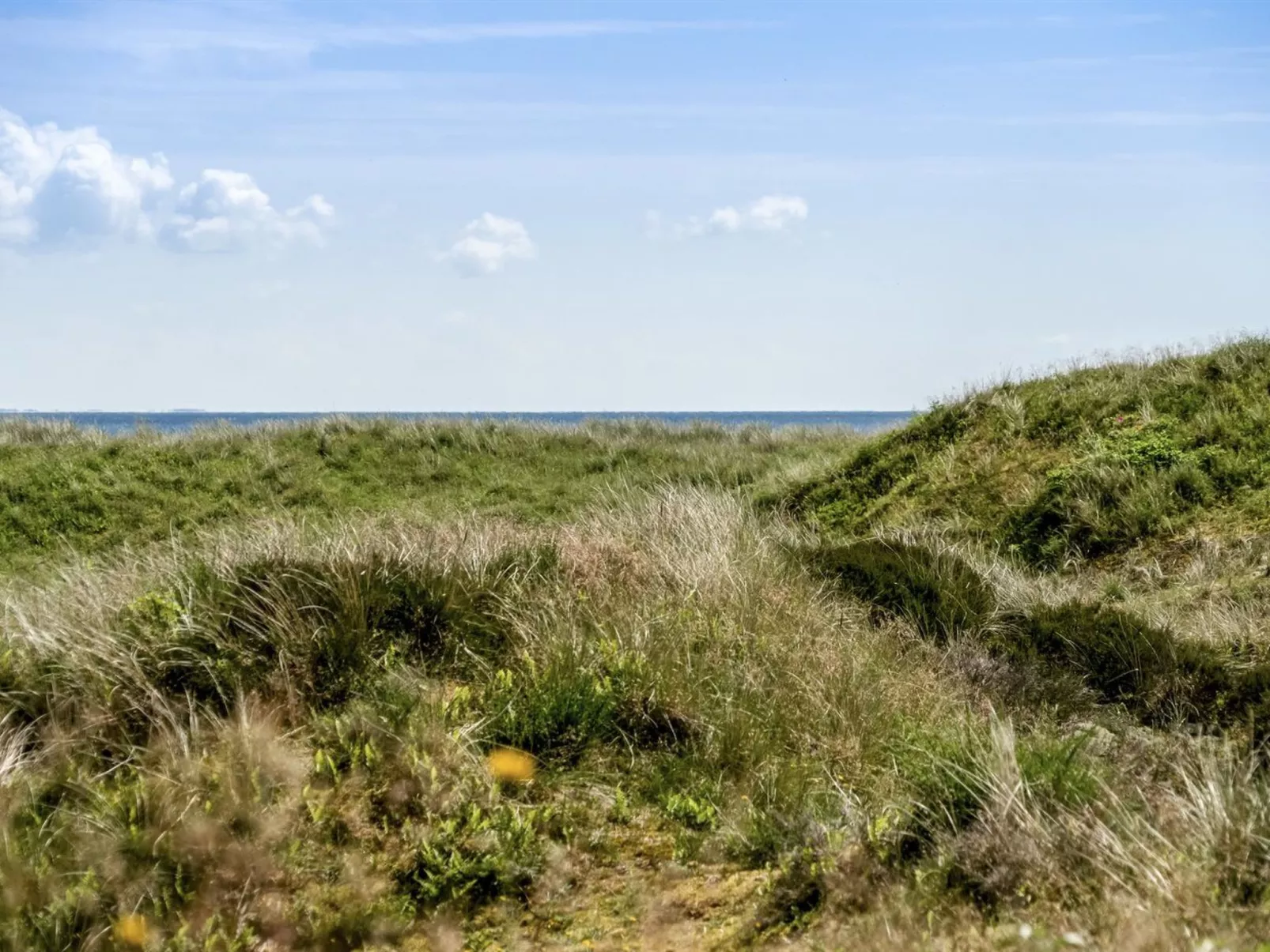 "Ajten" - 150m from the sea-Drinnen