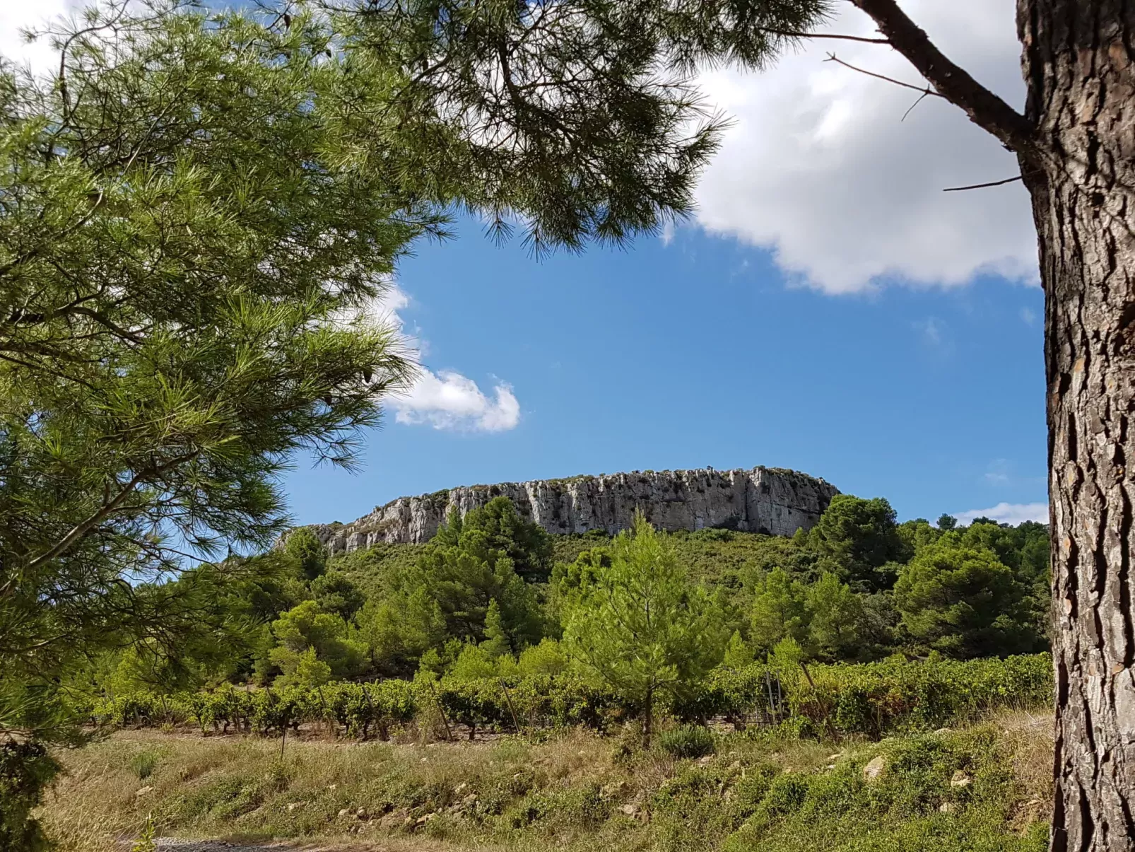 Les Cigalines-Area