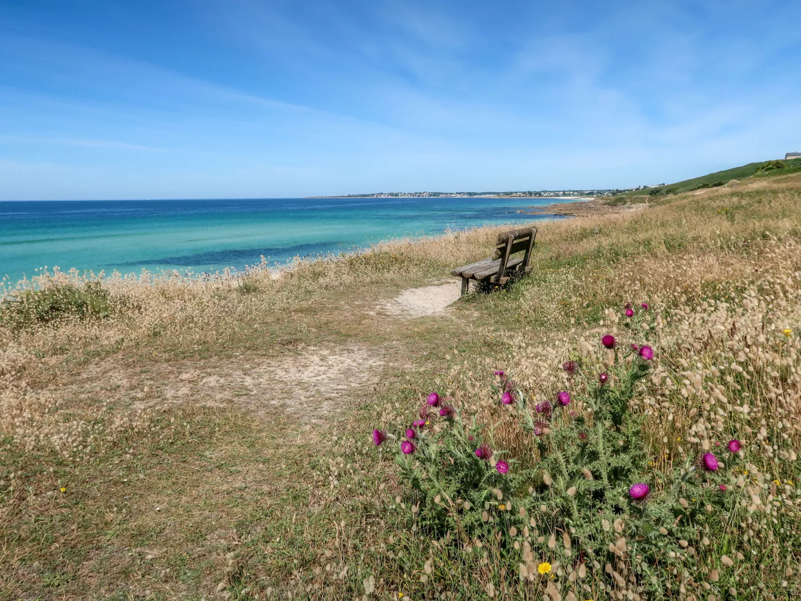 Rendez-vous à la plage-Area