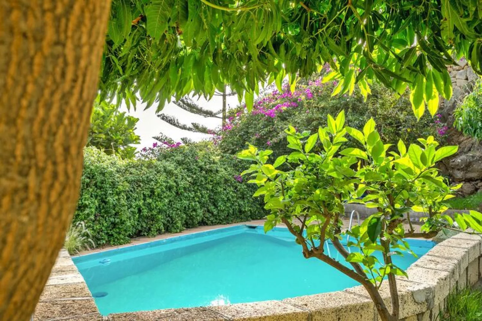 Mango-Pool