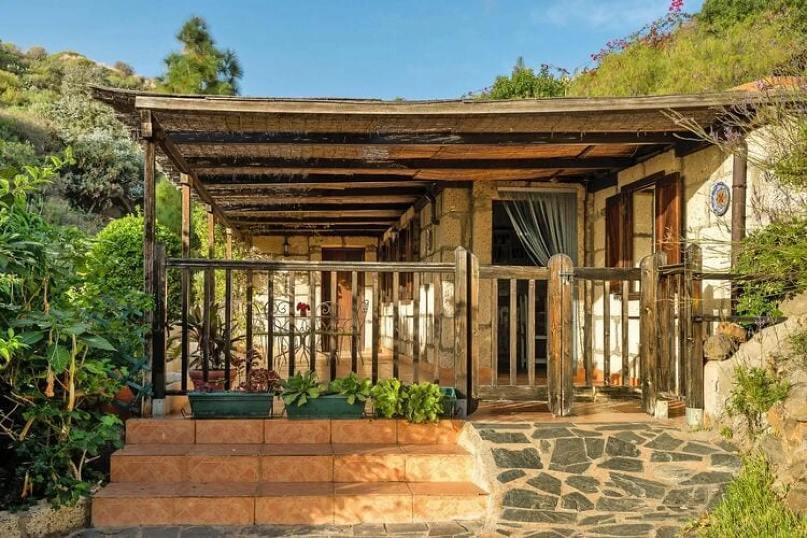 Mango-Exterior summer
