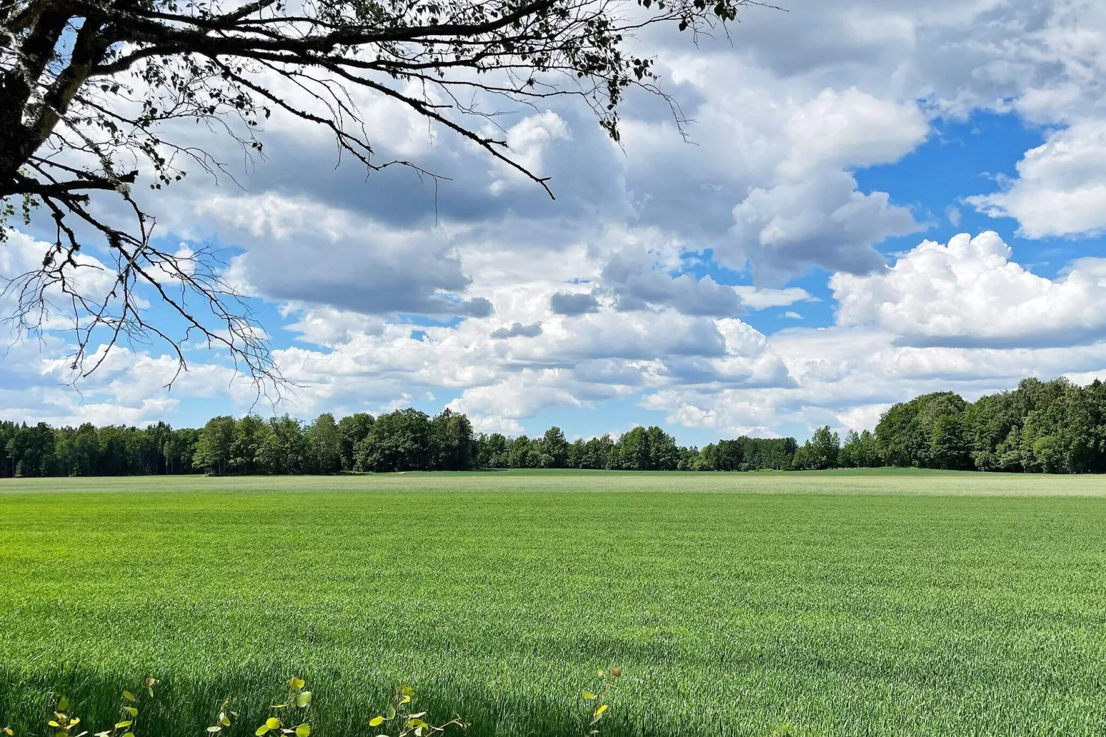 4 person holiday home in FALKÖPING-Not tagged