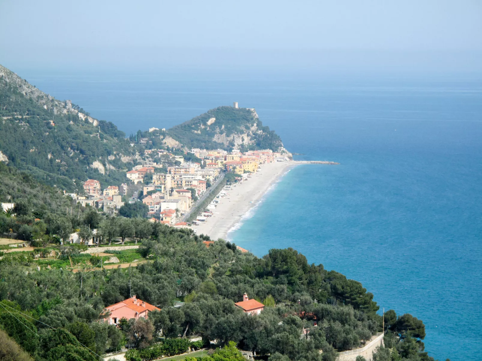 Francesca (VGO210)-Area