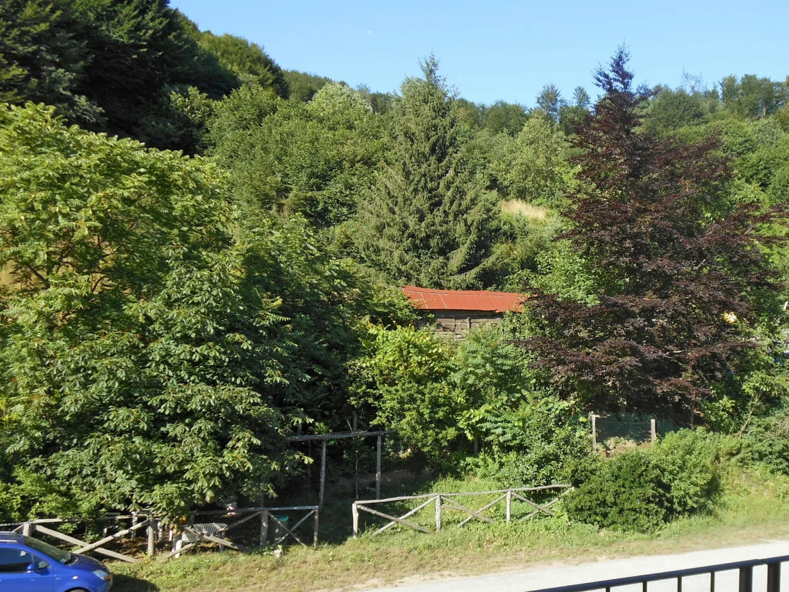 Quercia (SBO100)-Outside