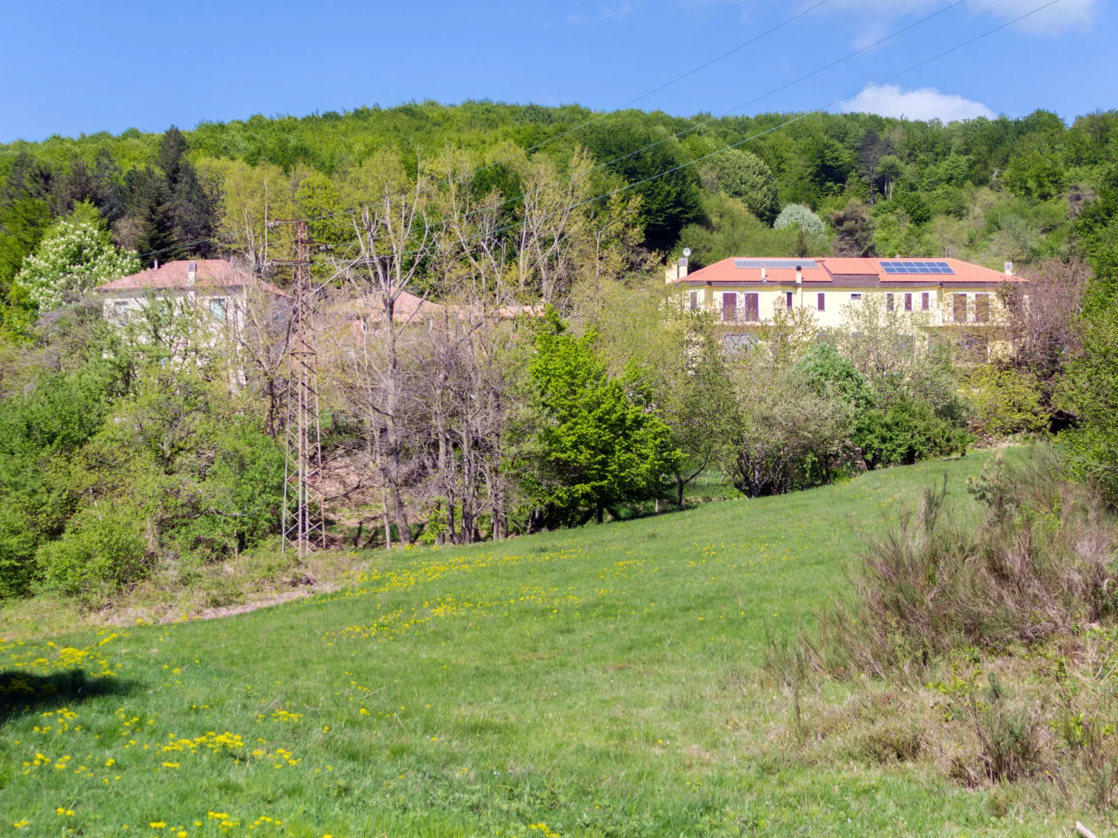 Quercia (SBO100)-Outside