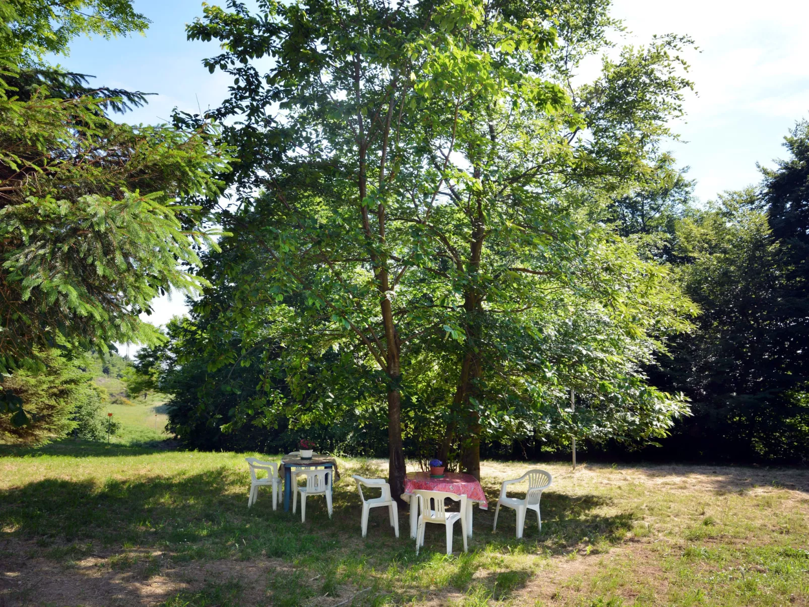 Quercia (SBO100)-Outside