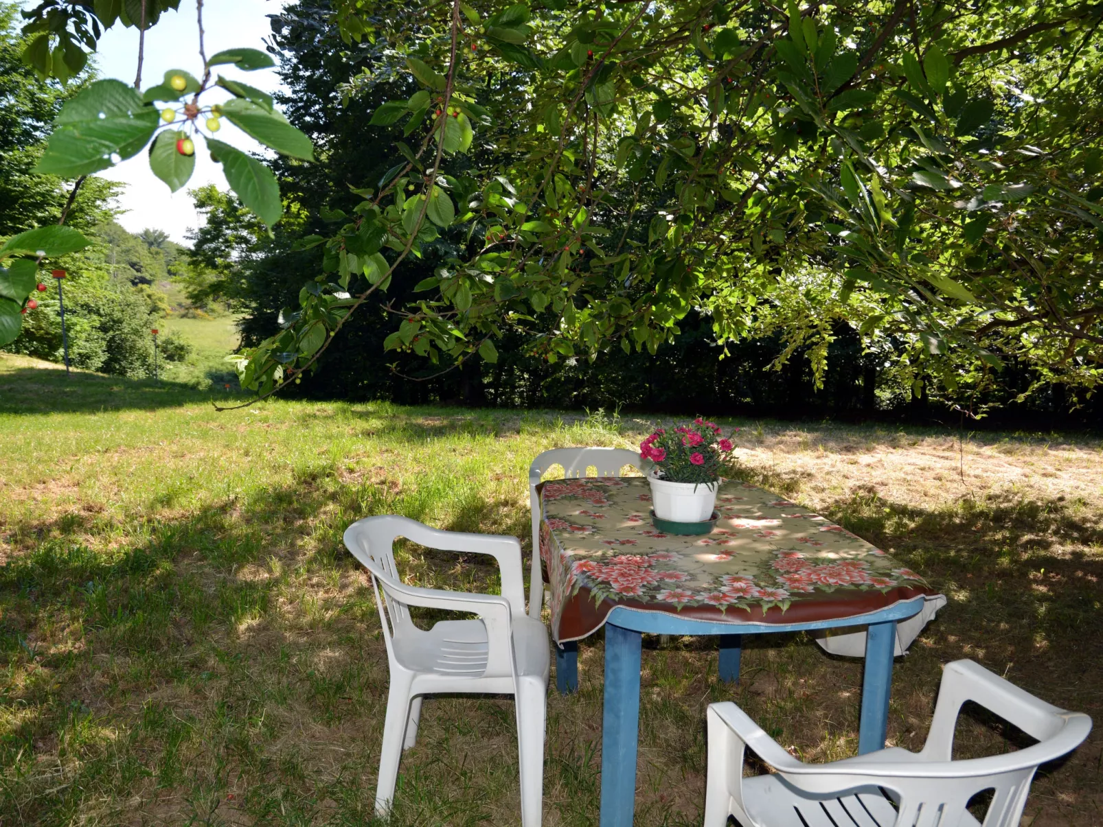 Quercia (SBO100)-Outside