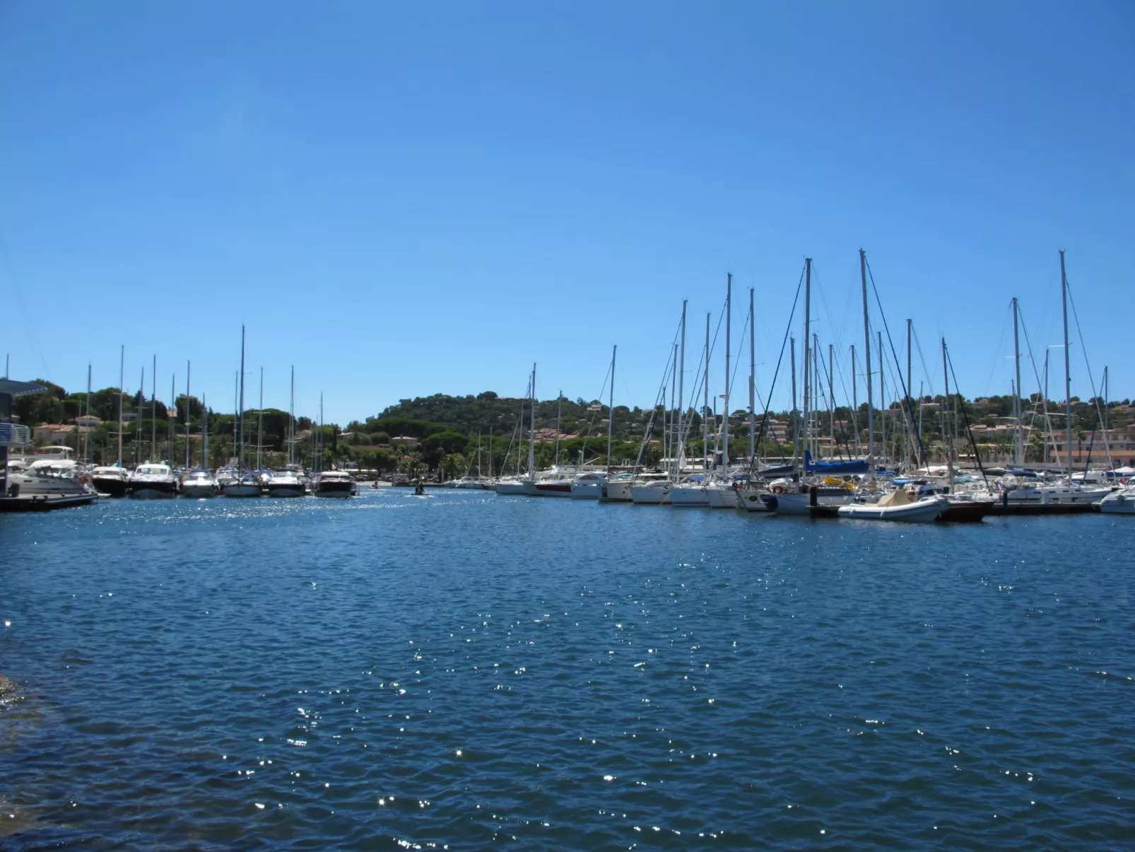 Les Mimosas-Area