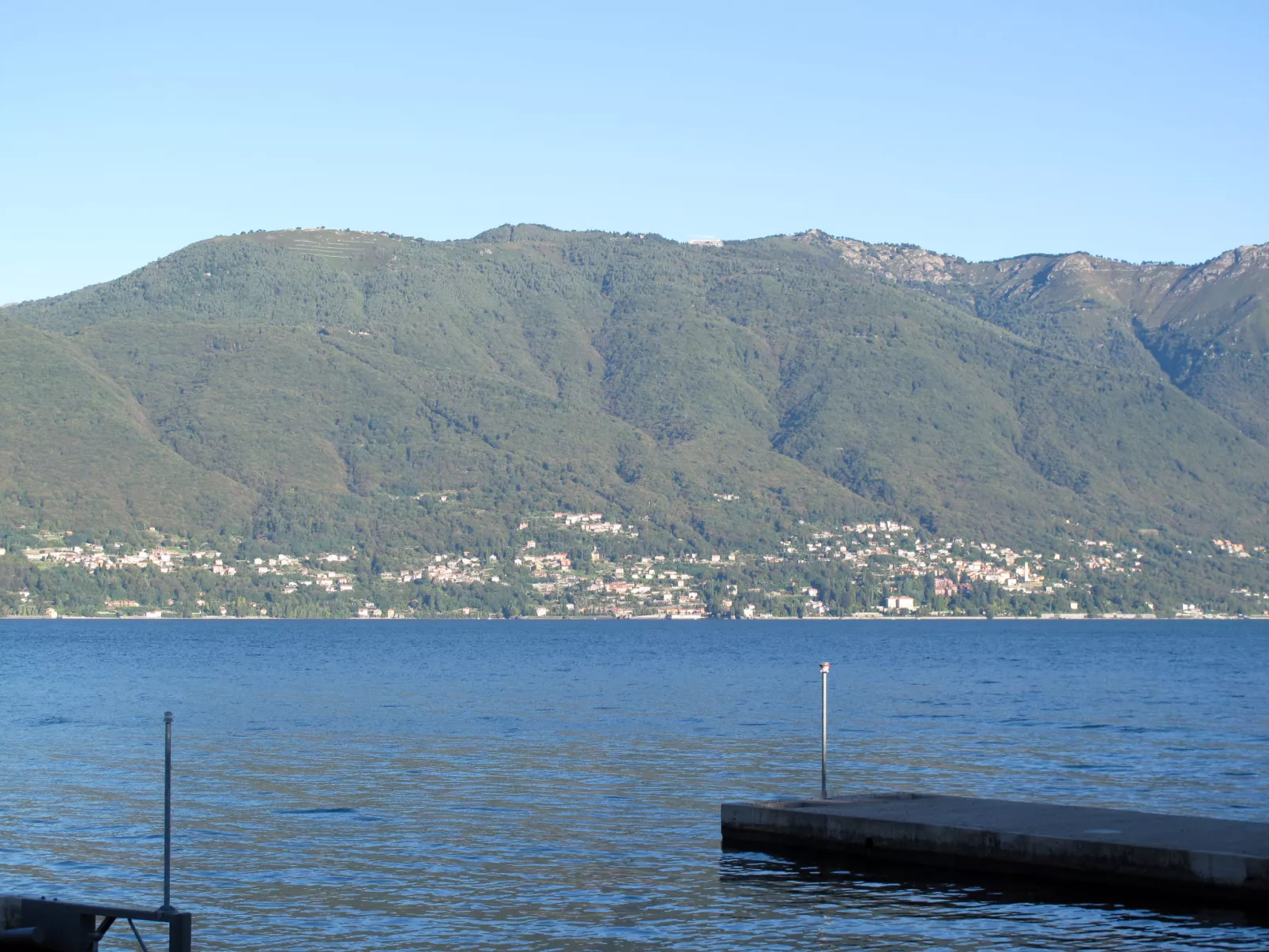 Lucina-Area