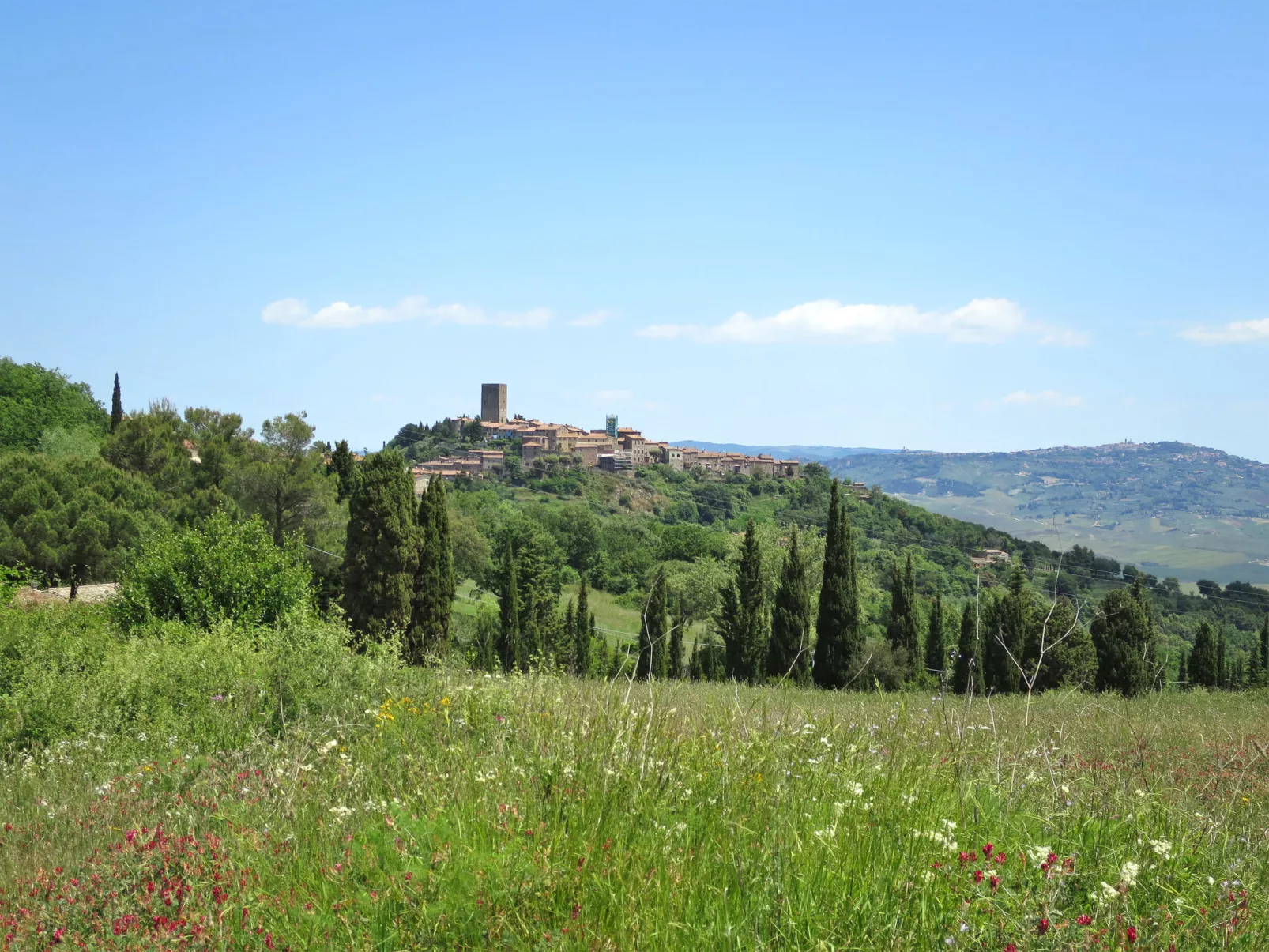 Via Vannocci-Area