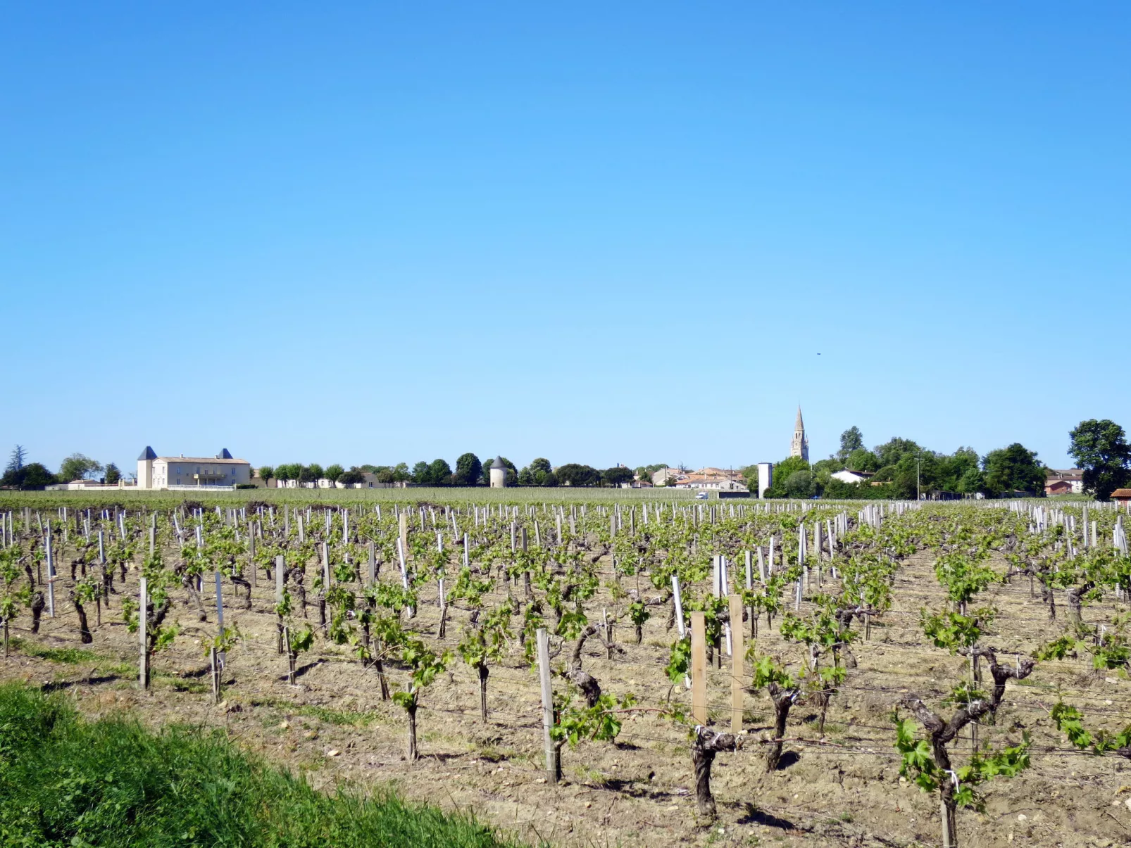 Céline-Area