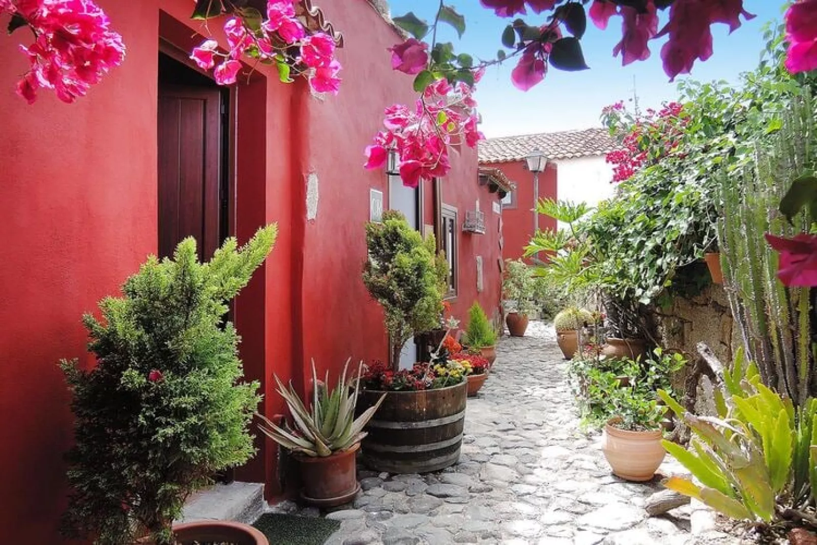 Casa El Moral-Gardens summer