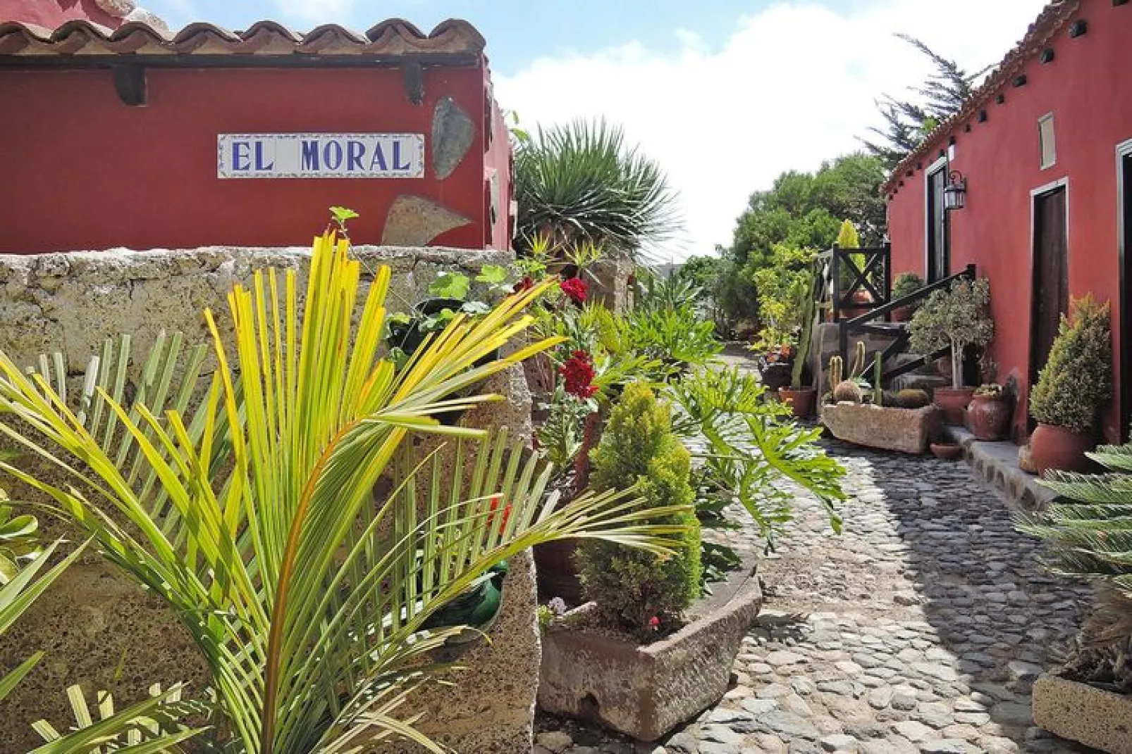 Casa El Moral-Gardens summer