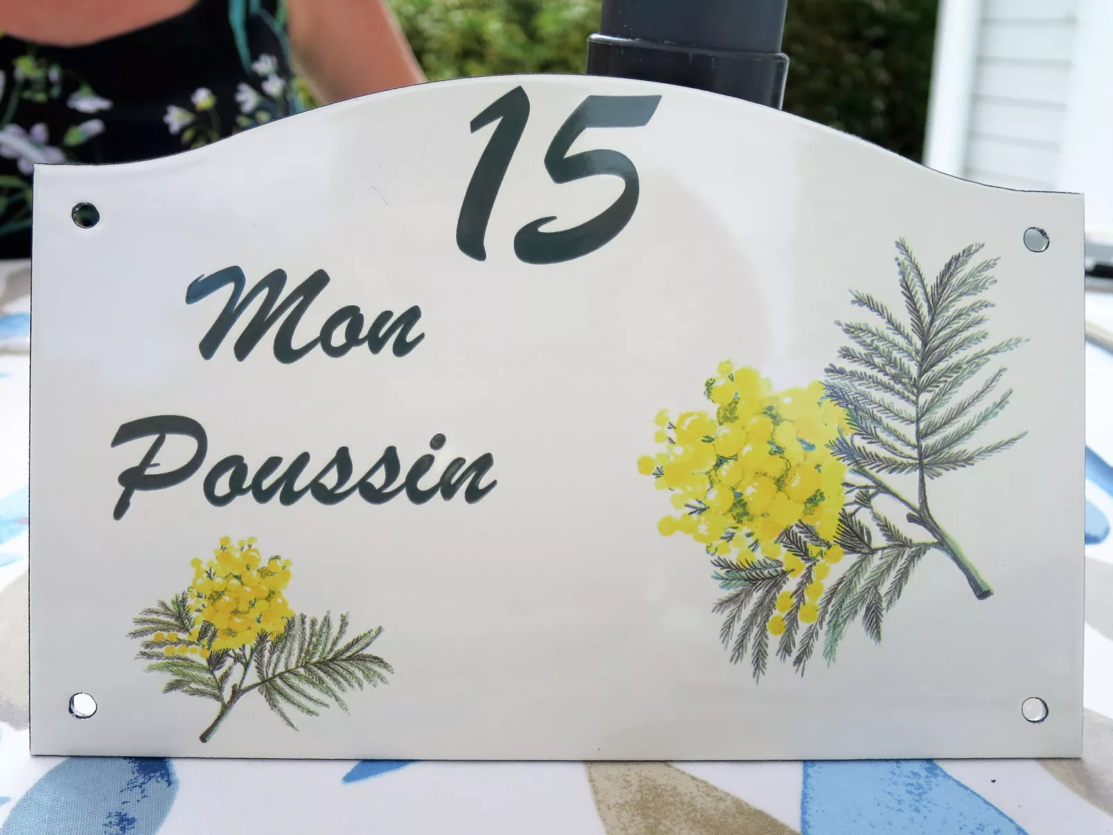Mon Poussin-Dedans