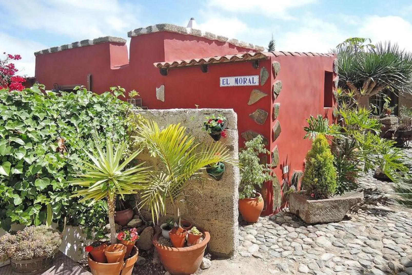 Casa El Moral-Terrace