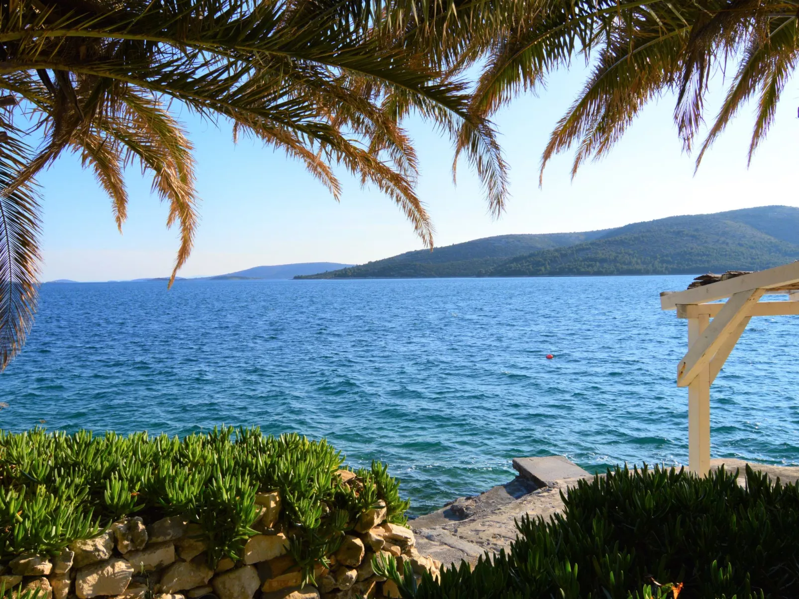 Viva-by the sea-by the pool-Outside