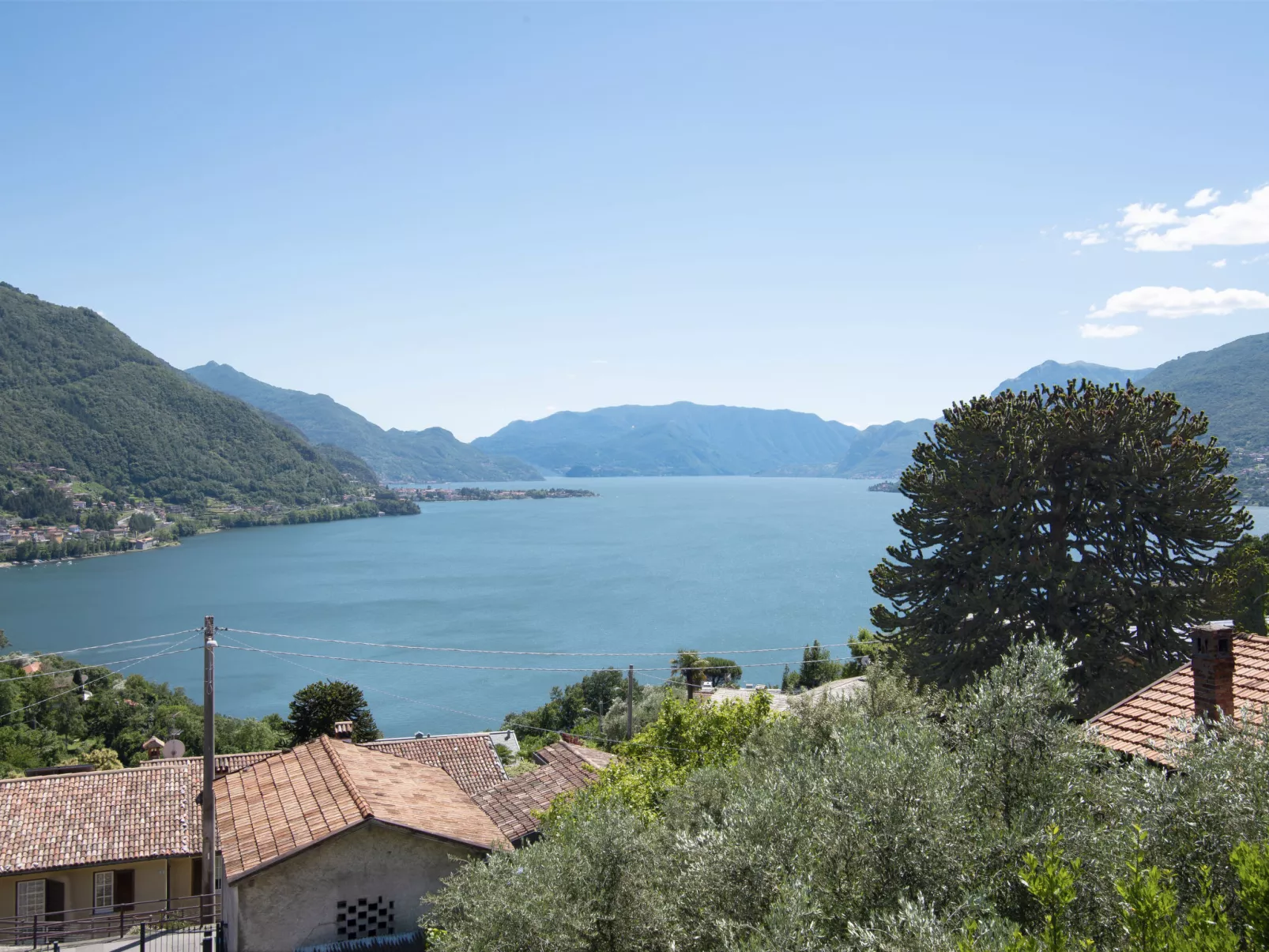 La Coccinella