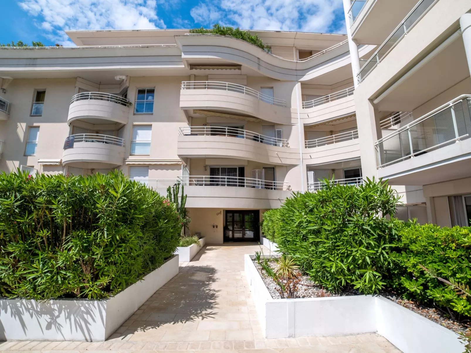 Royal Palm-Outside